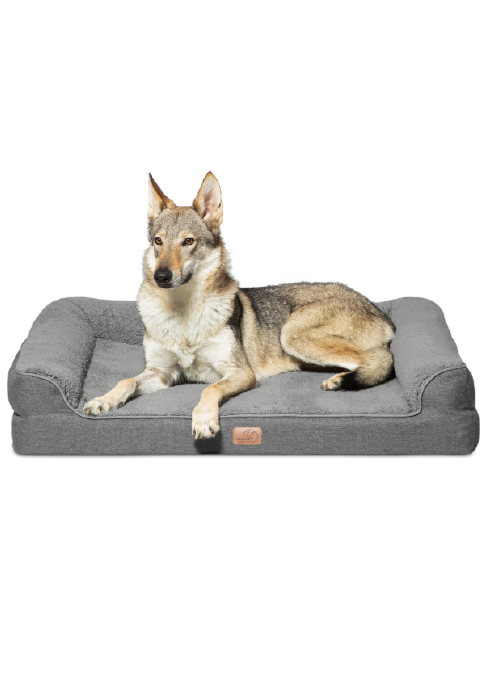 Plush dog sofa bed