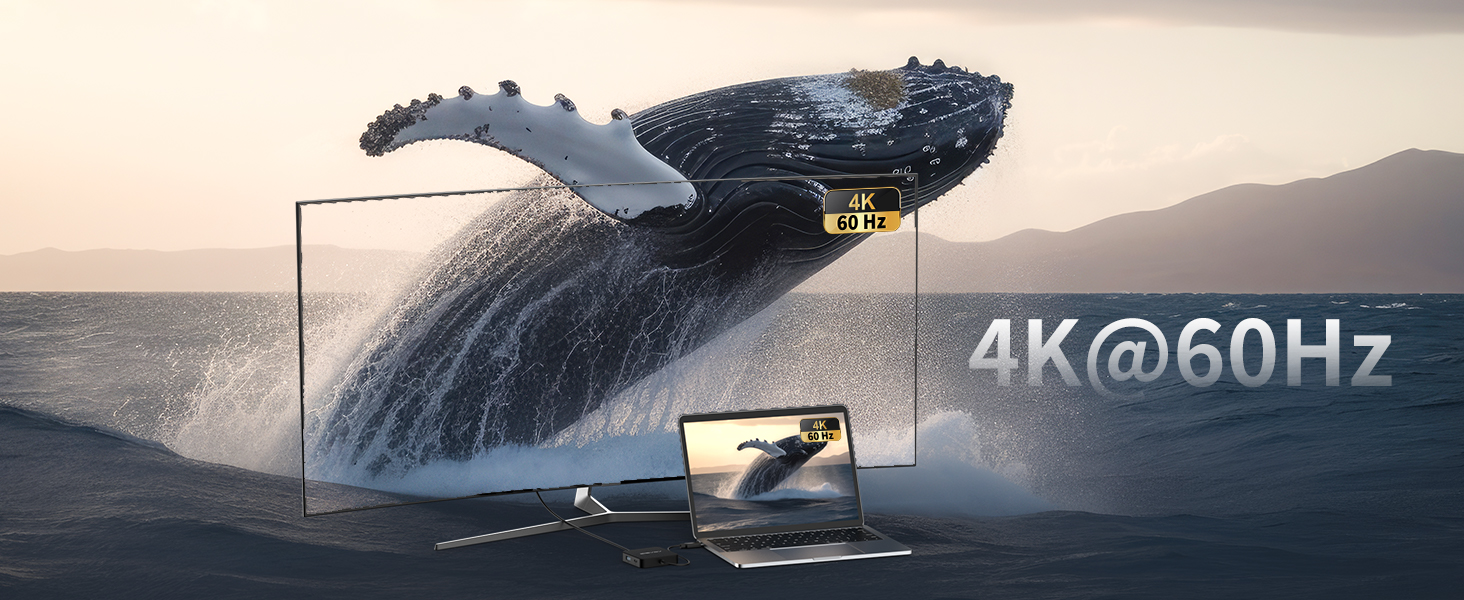 4K@60Hz