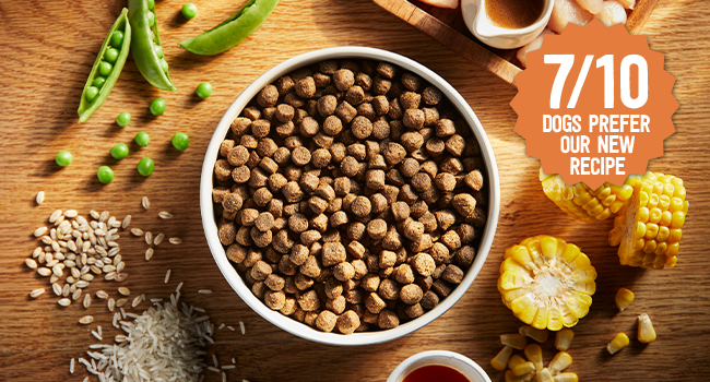 harringtons dry dog food