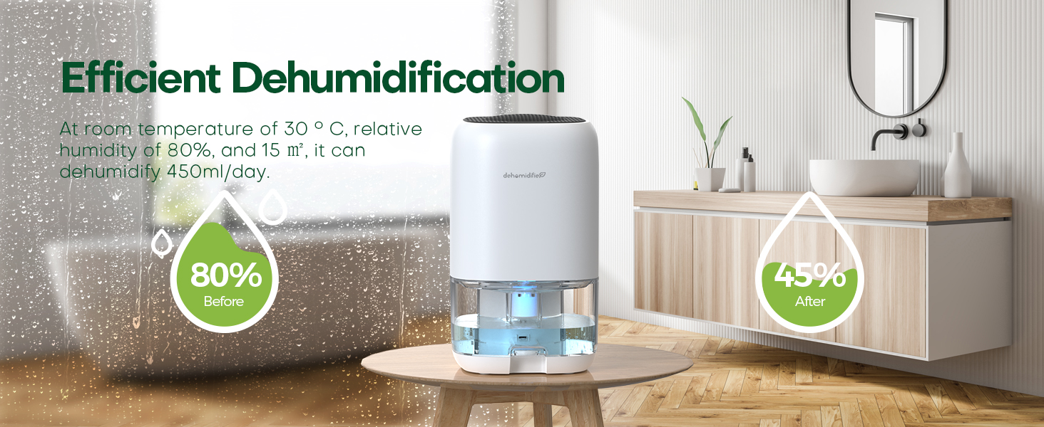 Dehumidifier