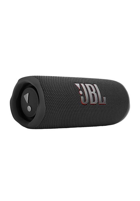JBL Flip 6