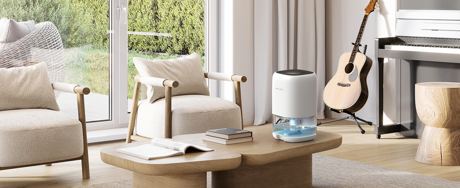Dehumidifier