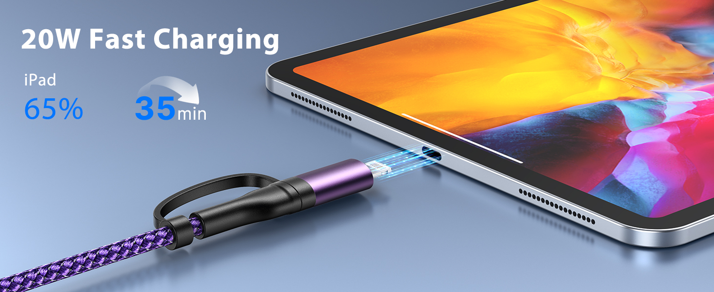 4 in 1 Multi Charger Cable