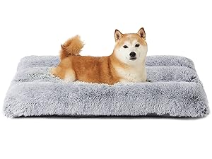 calming dog bed