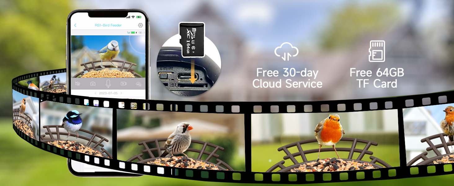 bird watching camera