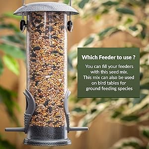 deluxe wild bird seed species