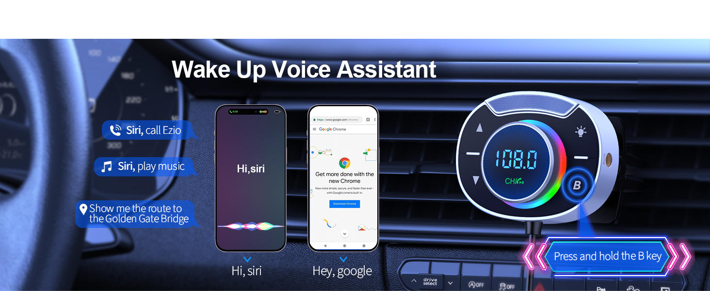 Voice Assistant