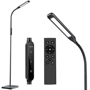 Lastar LED Floor Lamp