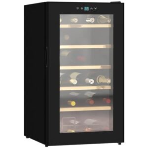 HOMCOM 24 Bottles Freestanding Wine Fridge with Glass Door