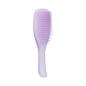 Tangle Teezer | The Fine & Fragile Wet Detangler Hairbrush | Soft Flex Teeth for Less Breakage | Ideal for Thinning Hair