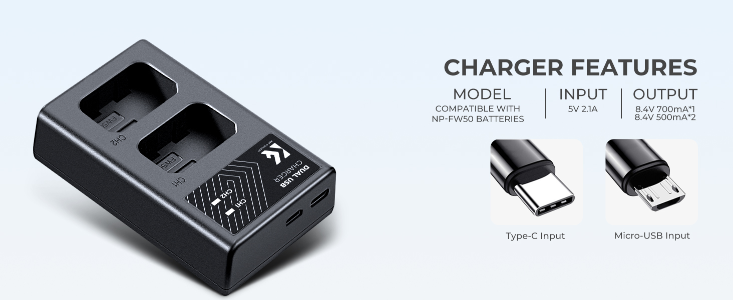 Dual input charger