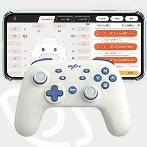 Switch Controller