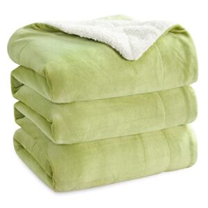 Bedsure Sherpa Fleece Blanket Queen Size - Fluffy Microfiber Solid Blankets for Bed Large Throw