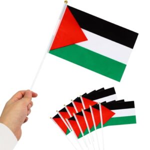 10 PCS Palestine Flag Small