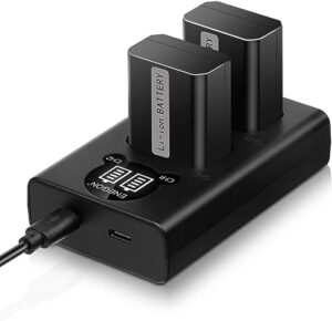 ENEGON 2-Pack NP-FW50 Camera Replacement Battery and Smart LED Dual Charger Compatible with Sony Alpha a6500 a6400 a6300 a6000 a7s a7 a7s ii a5100 a5000 a3000 a7r a7 ii