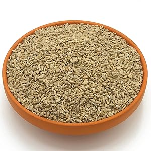 sunflower hearts double bag