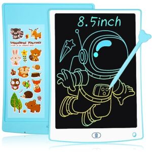 Sarmeley LCD Writing Tablet