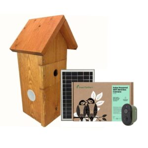 Green Feathers Battery Powered Solar Bird Box Camera With Wi-FI Connection