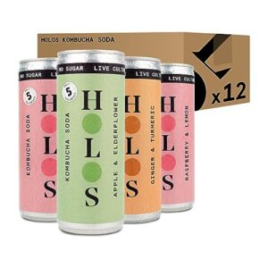 HOLOS Kombucha Soda Mixed Case 12 x 250ml cans | 4x Raspberry & Lemon