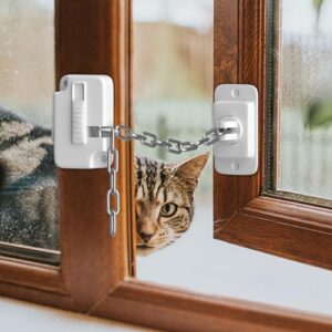 Window Locks