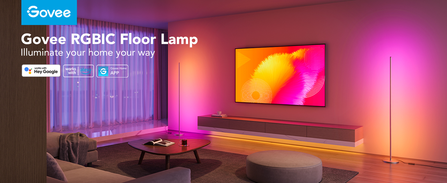 Govee Floor Lamp