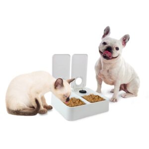ALL FOR PAWS Automatic Cat Feeder