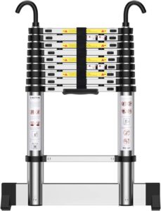Teenza 2.9M Telescopic Ladder