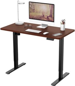 FLEXISPOT Electric Height Adjustable Standing Desk Sit Stand Desk Adjustable Desk Stand Up Desk with Memory Smart Pannel EF1 SERIES(120 * 80cm