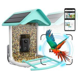 Bird Feeders Camera with Solar Panel