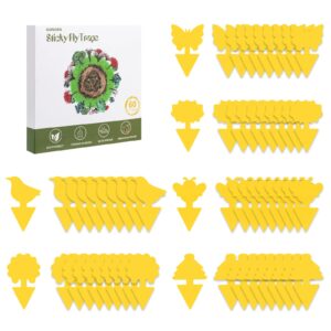 aonova Fruit Fly Traps