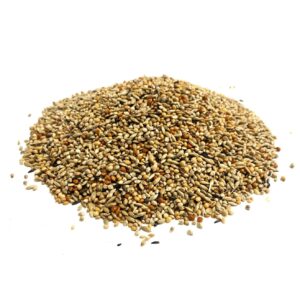 1kg ABZ Finch Seed LJJ