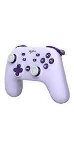 Switch Controller