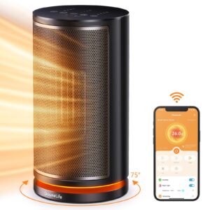 GoveeLife Smart Space Heater