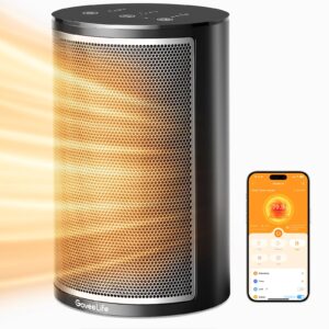 GoveeLife Smart Electric Heater