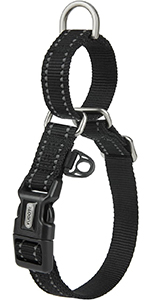 Martingale Dog Collar