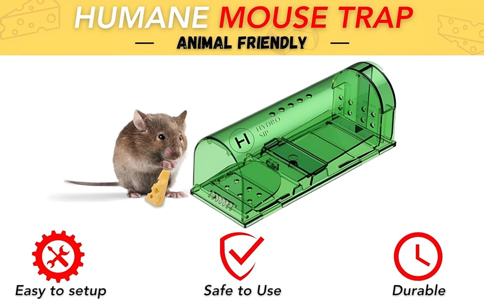 Mouse Traps
