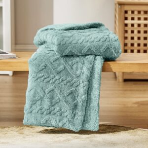 Bedsure Sherpa Fleece Throw Blanket - Fluffy Fuzzy Soft Warm Jacquard Coral Fleece Blanket for Bed and Couch