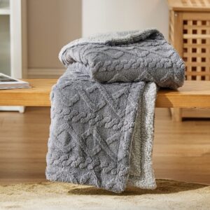 Bedsure Sherpa Fleece Throw Blanket - Fluffy Fuzzy Soft Warm Jacquard Coral Fleece Blanket for Sofa