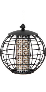 bird feeder
