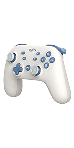 Switch Controller