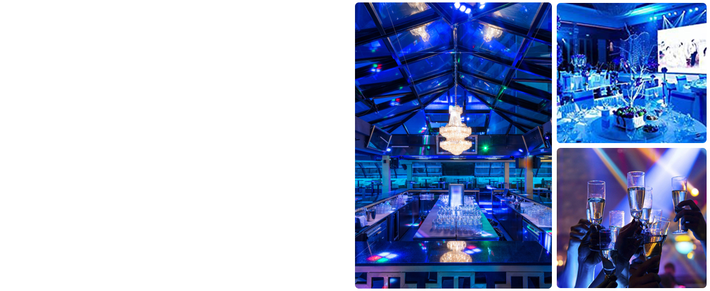 LPC008S Disco Par Light