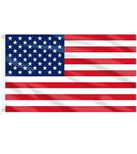 USA Flag