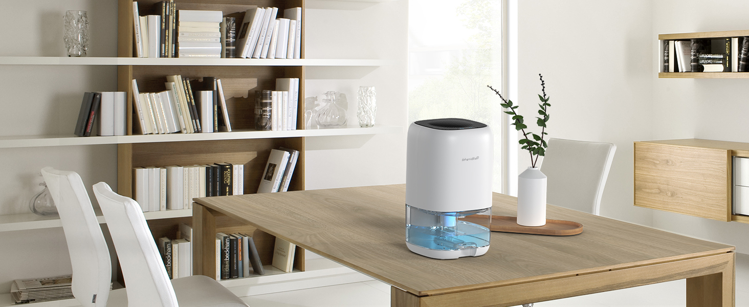 Dehumidifier