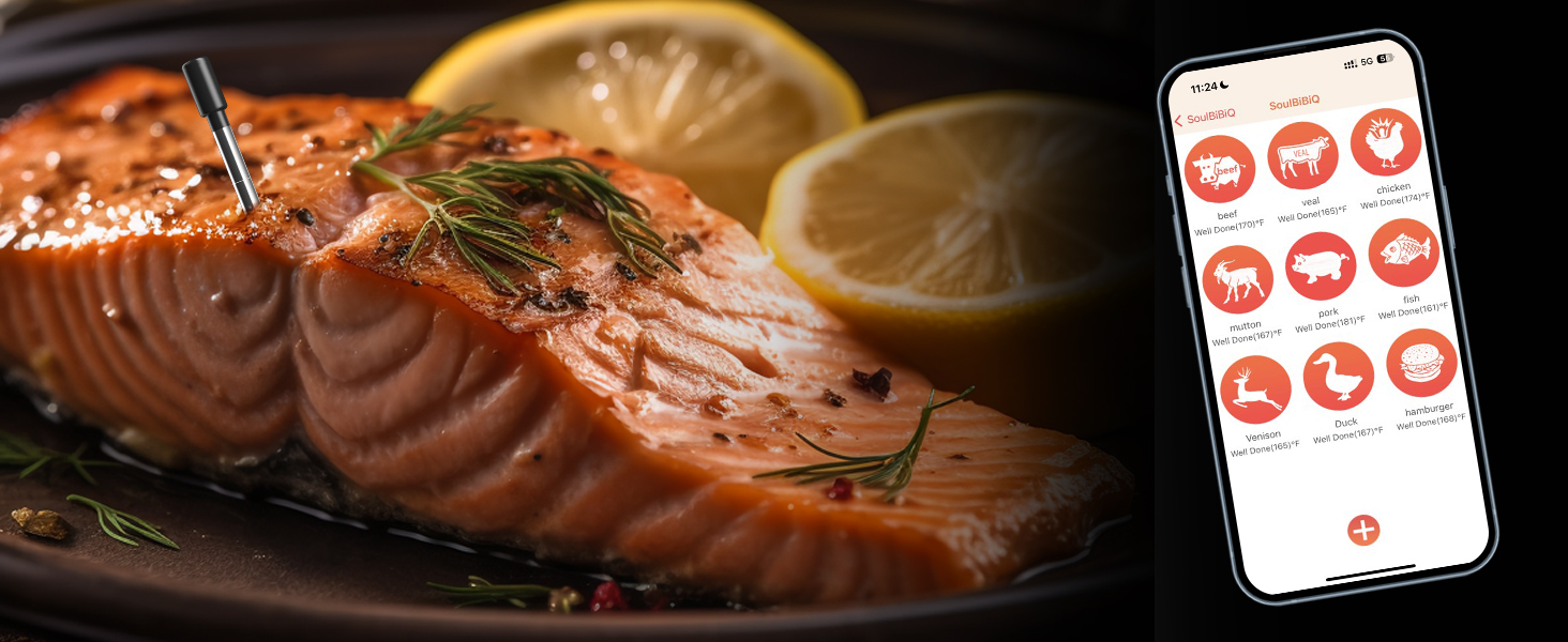 Wireless Meat Thermometer