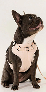 YUDOTE No Pull Harness