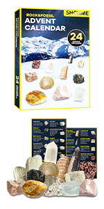 Rock & Fossils Advent Calendar