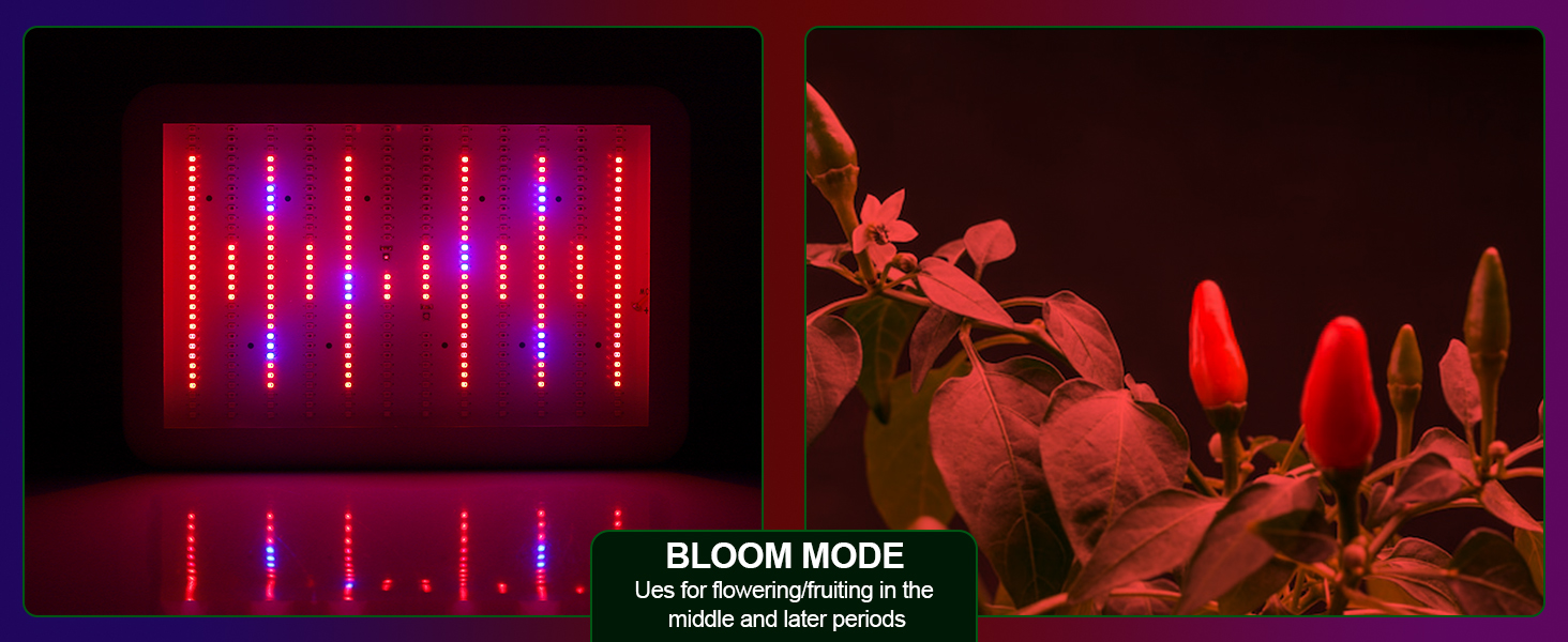 led grow lights