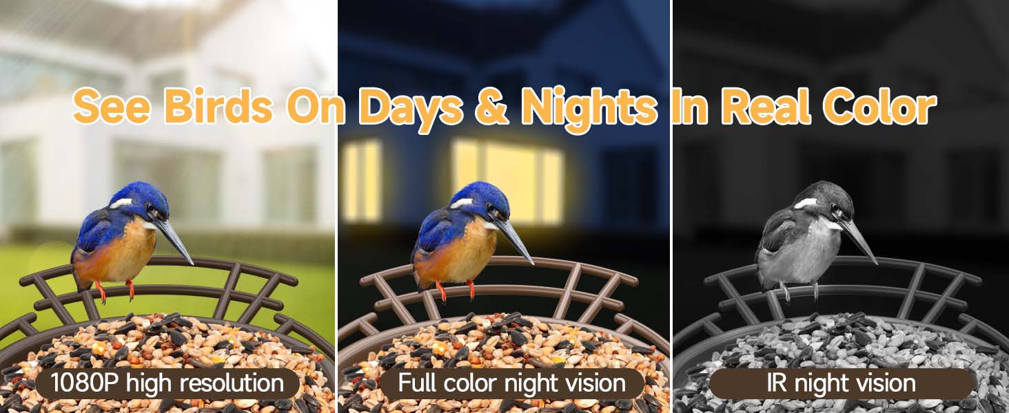smart bird feeder camera