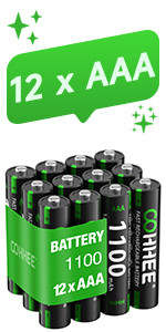 12 x AAA rechargealbe batteries