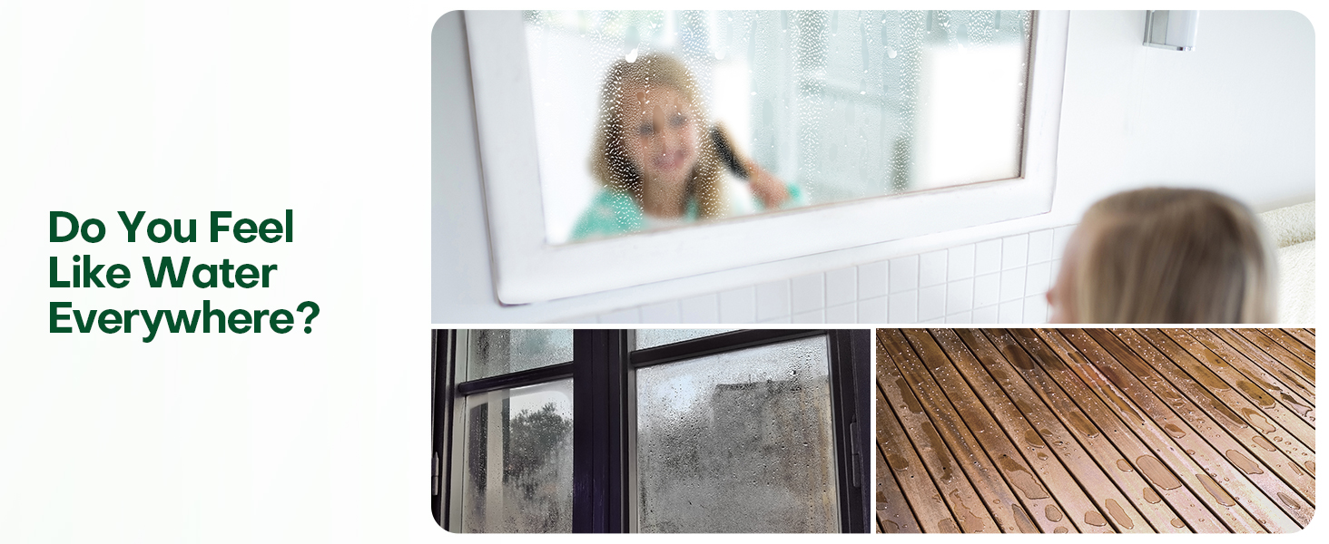 Dehumidifier
